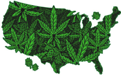 Marijuana Momentum Heats Up Across The US