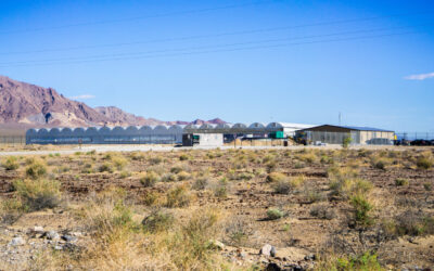 Green Rush Leaves ‘Ghost Town’ of Grow Facilities in Ordway, Colorado
