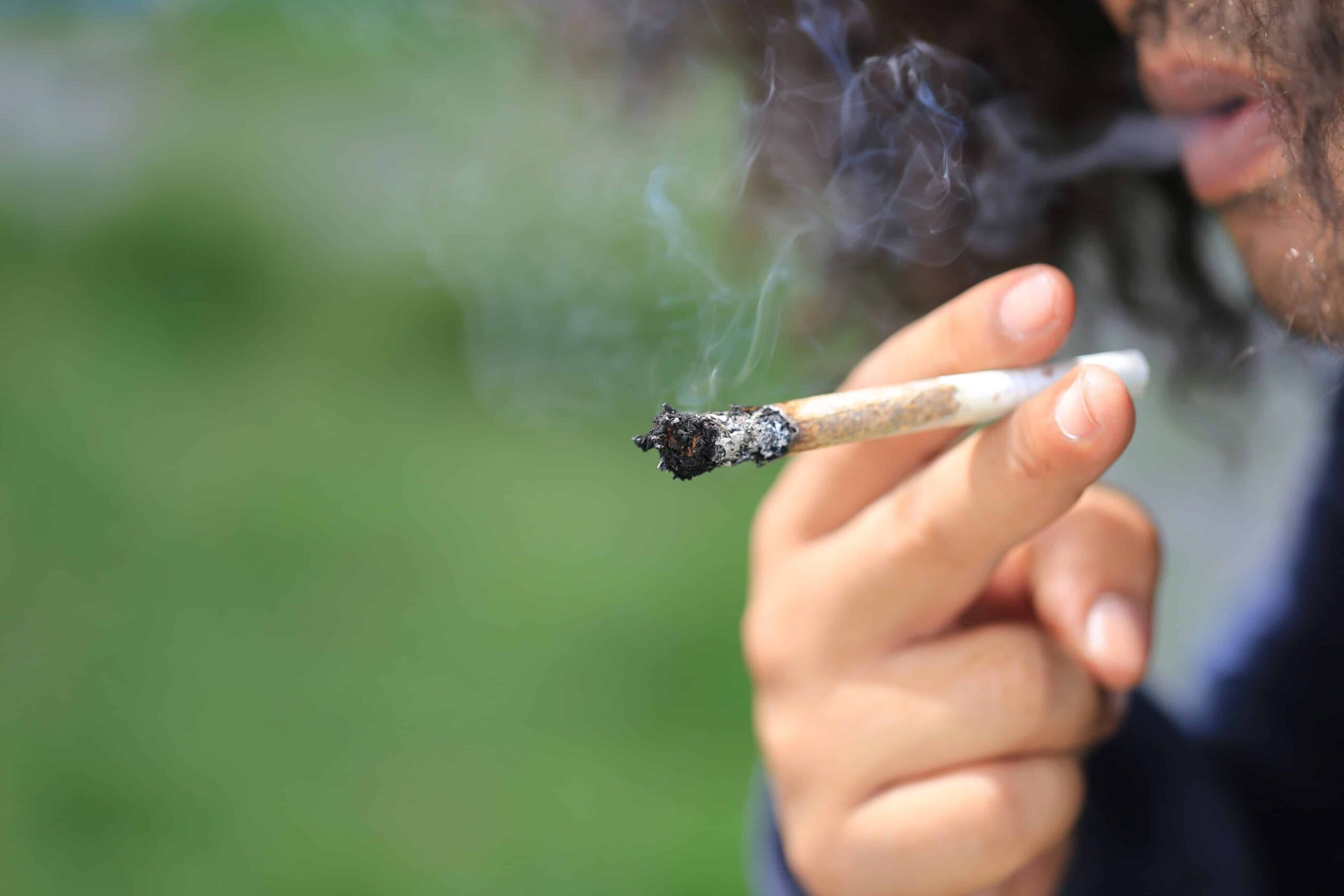 Newly Introduced Bill in Florida Proposes 10% Cap on Smokable THC Products