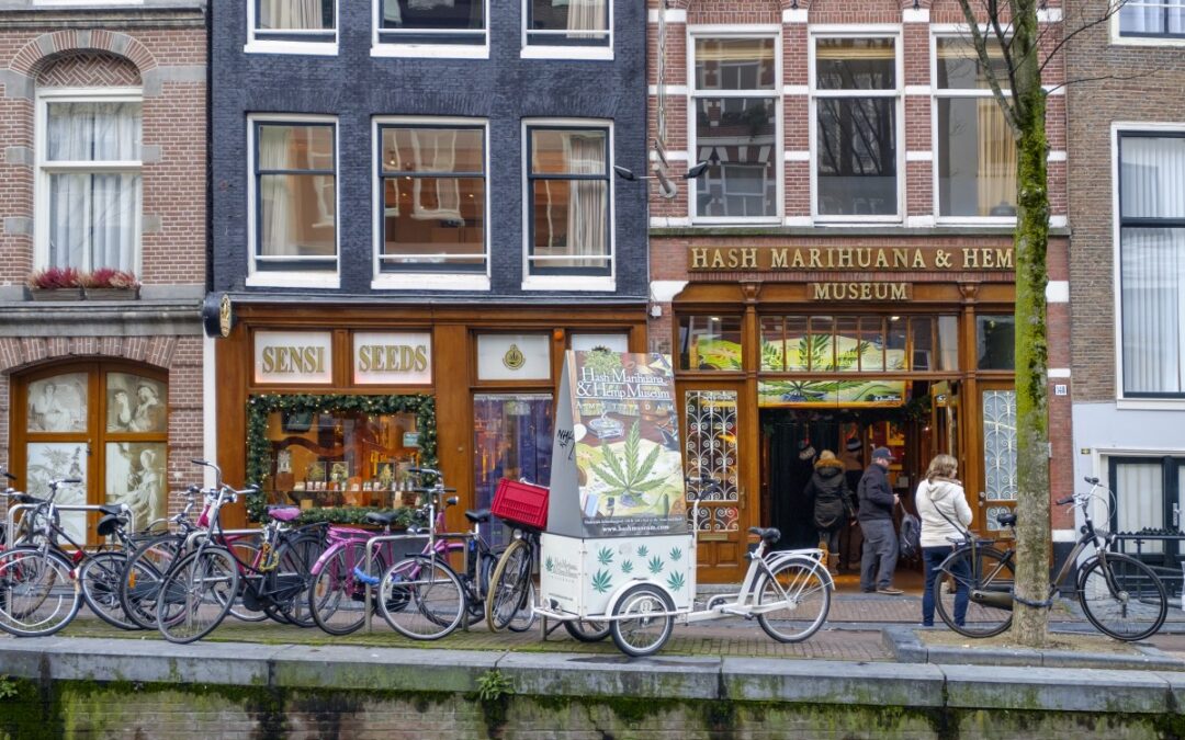 Back to Amsterdam