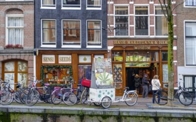 Back to Amsterdam