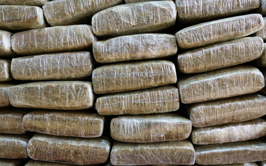 Wasted Weed: Canada’s Disposal of 3.7 Million Pounds of Cannabis Since 2018