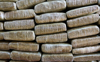 Wasted Weed: Canada’s Disposal of 3.7 Million Pounds of Cannabis Since 2018
