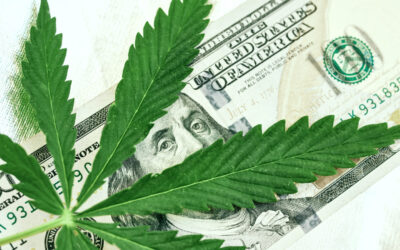Michigan Adult-Use, Medical Cannabis Sales Reach $3.6 Billion in 2023