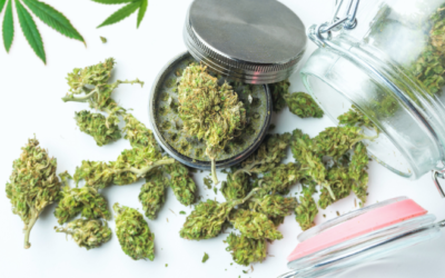 NORML Op-Ed: Setting Caps on THC Potency Is Poor Policy