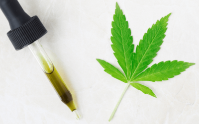 South Carolina: Senate Advances Medical Cannabis Access Legislation