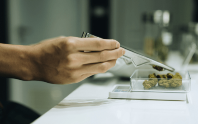 Virginia Lawmakers Approve Adult-use Retail Sales Bills