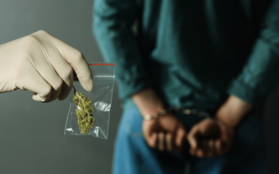 NORML’s Black History Month Fight For Consumer Equity: Board Members Discuss War On Drugs’ Ongoing Harm To Black Communities