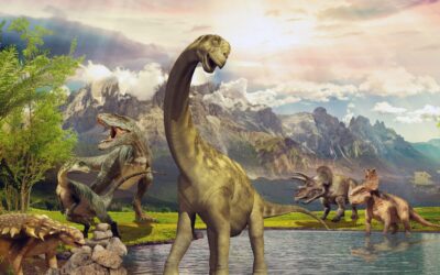 Psilocybin Mushrooms Date Back 65 Million Years to Dinosaur Extinction