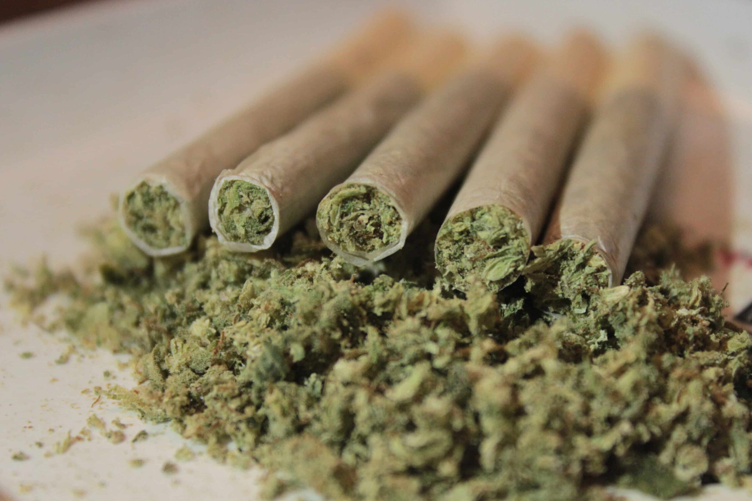 Ireland Government Approves a Nine-Month Delay on Cannabis Legalization Vote