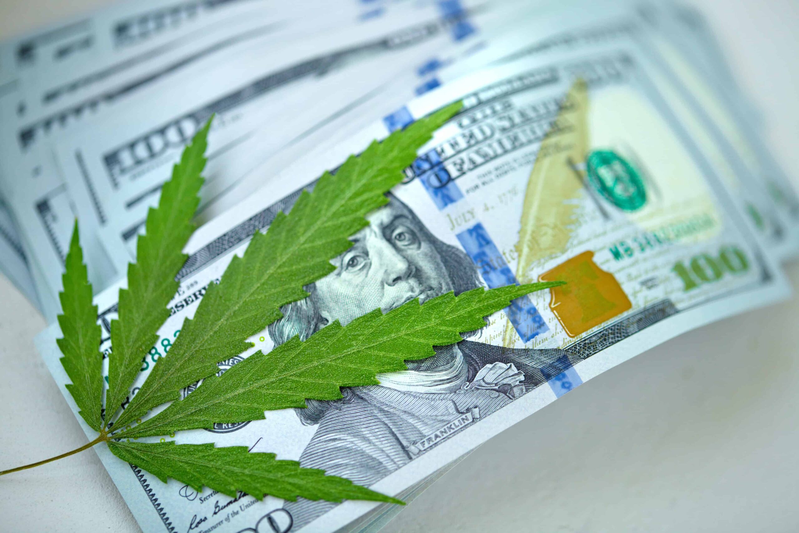 Humboldt Weed Grower To Pay $750,000 for Environmental Violations