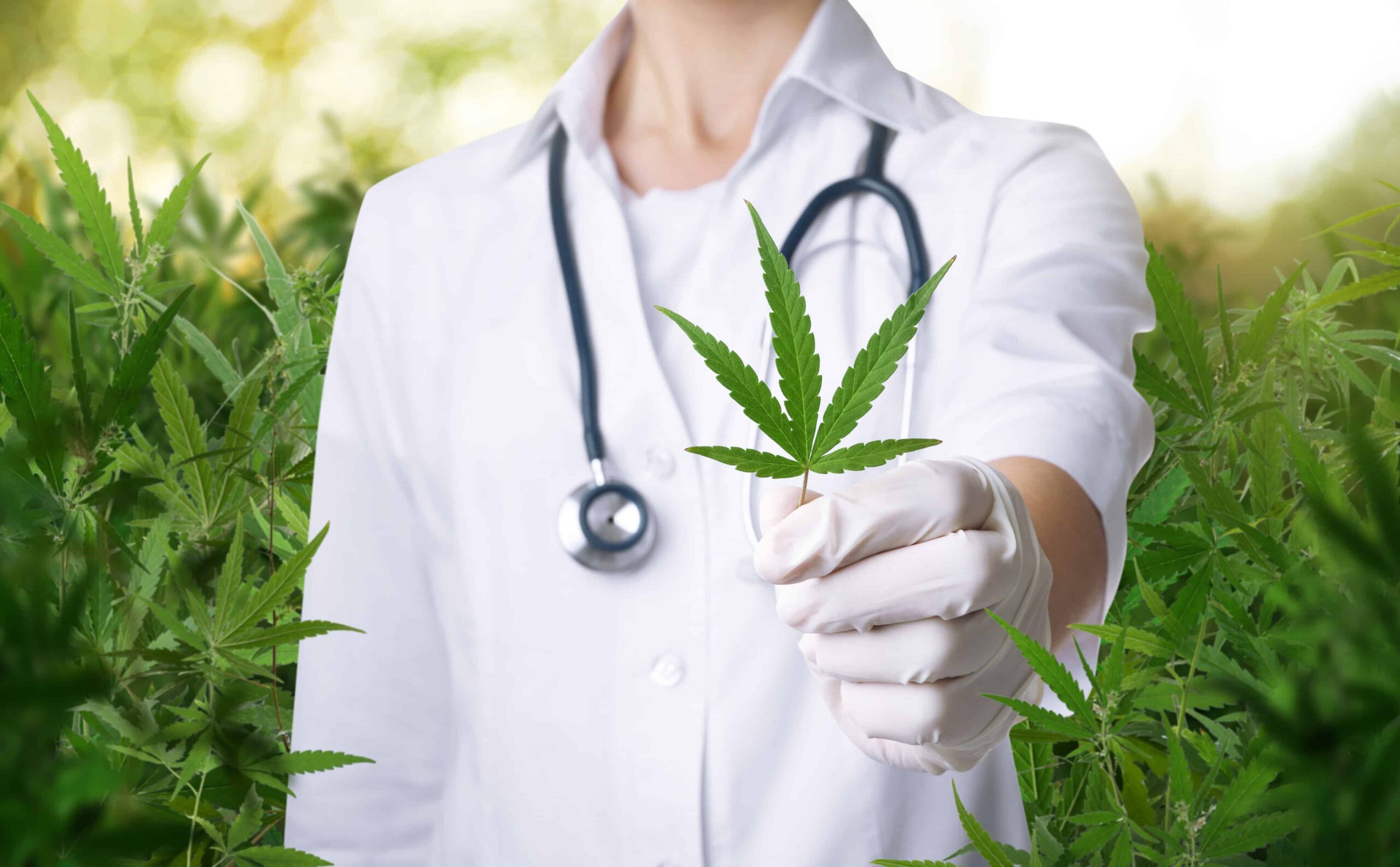 New Jersey Introduces Digital MMJ Cards With No Registration, Renewal Fees