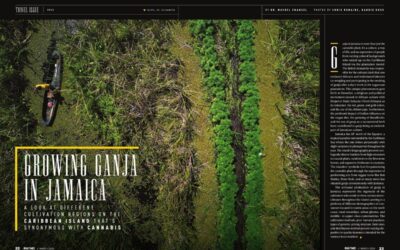 Growing Ganja in Jamaica