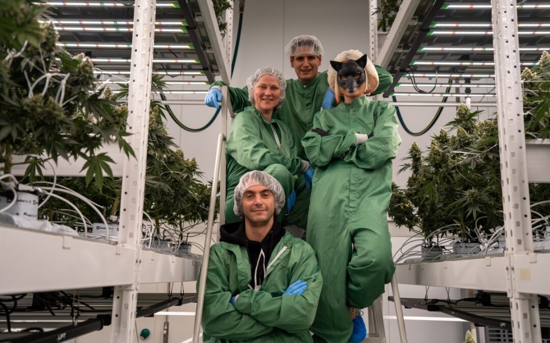 Drapalin Pharmaceutical, German Rapper Antifuchs Team Up To Merge Cannabis Medicine with Music