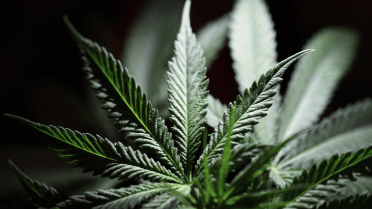 Massachusetts: Governor Issues Pardons For Those With Misdemeanor Marijuana Convictions