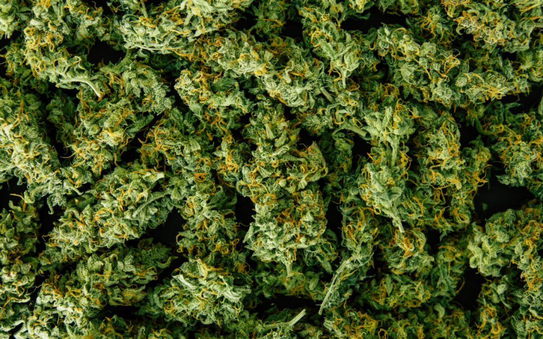Connecticut To Show Price Per Gram of Flower Online