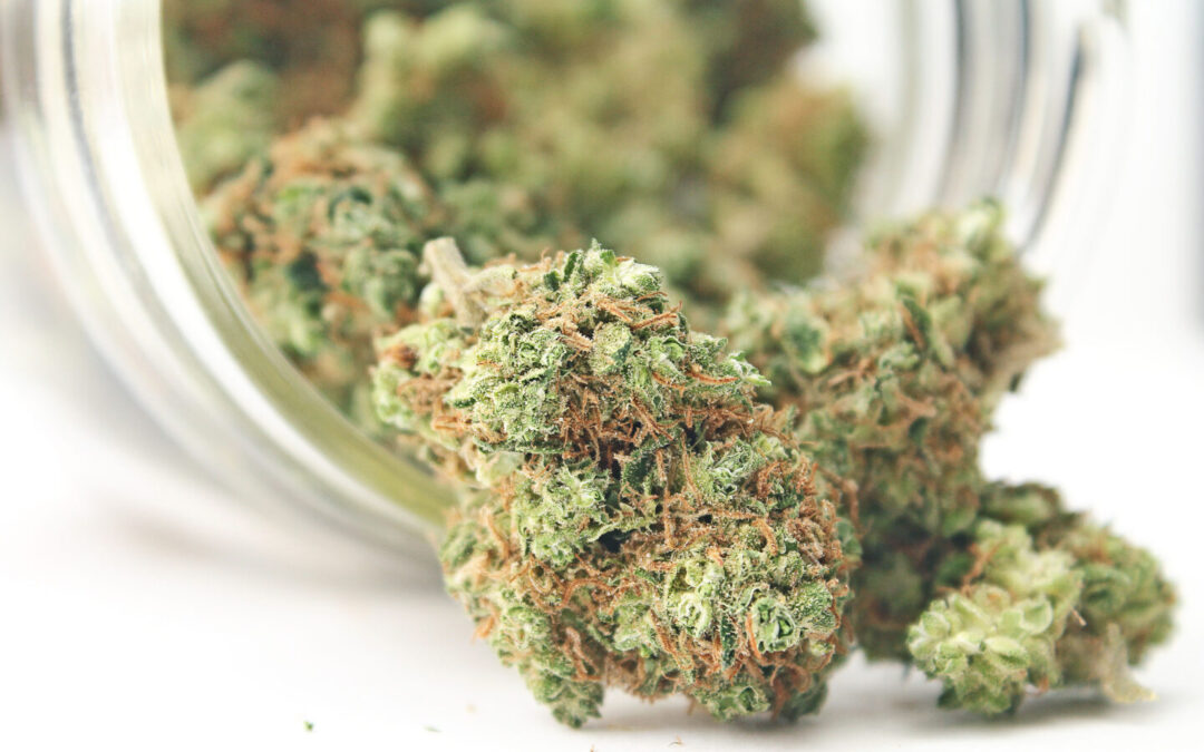 SoCal City, Costa Mesa, Officials Consider Sweeping New Rules for Dispensaries