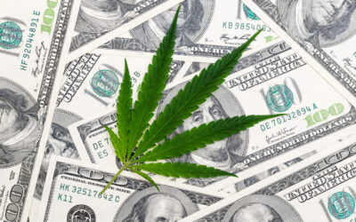 Arizona Weed Sales Topped $1.4 Billion Last Year