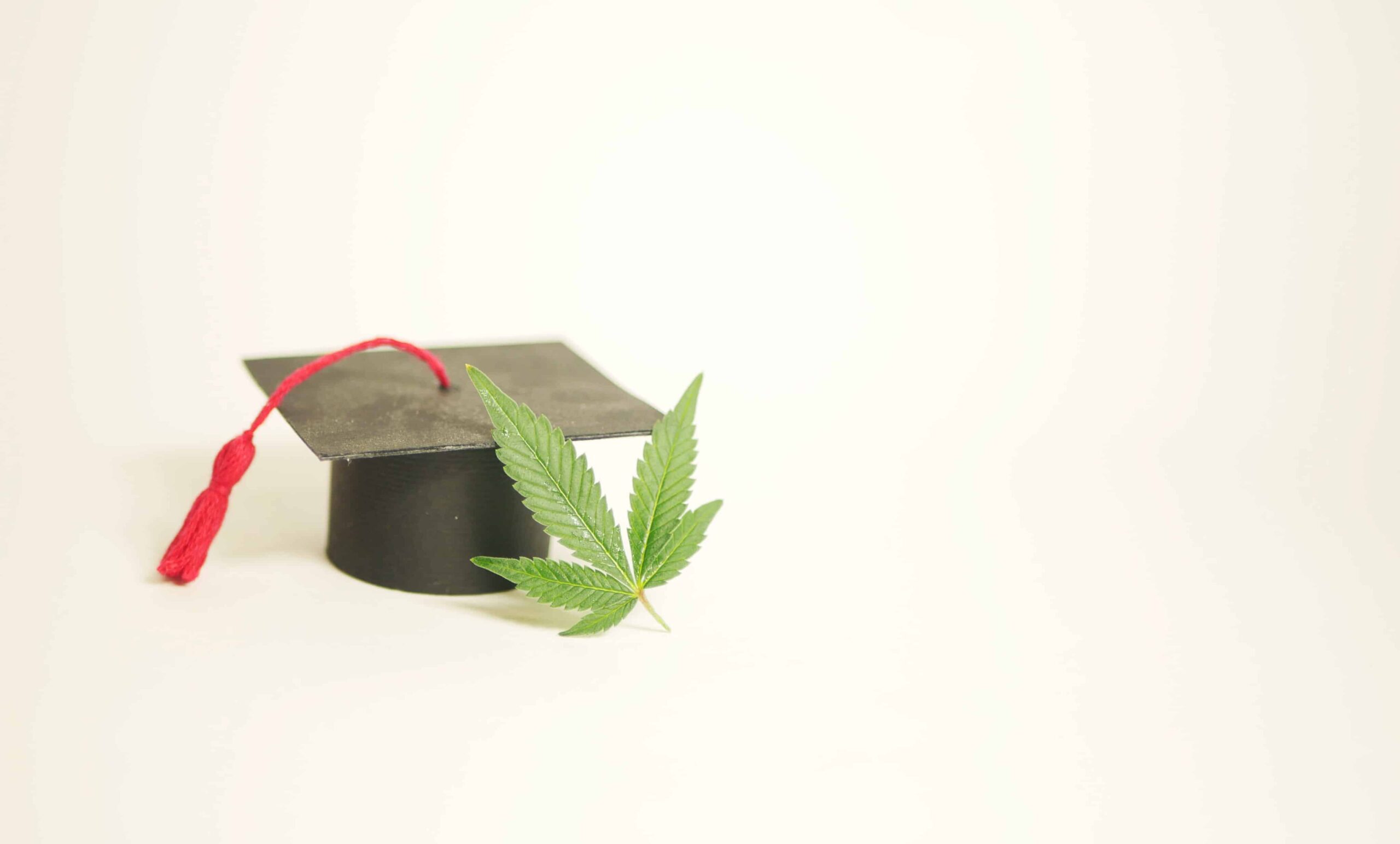 Ohio Cannabis School Receives Accreditation