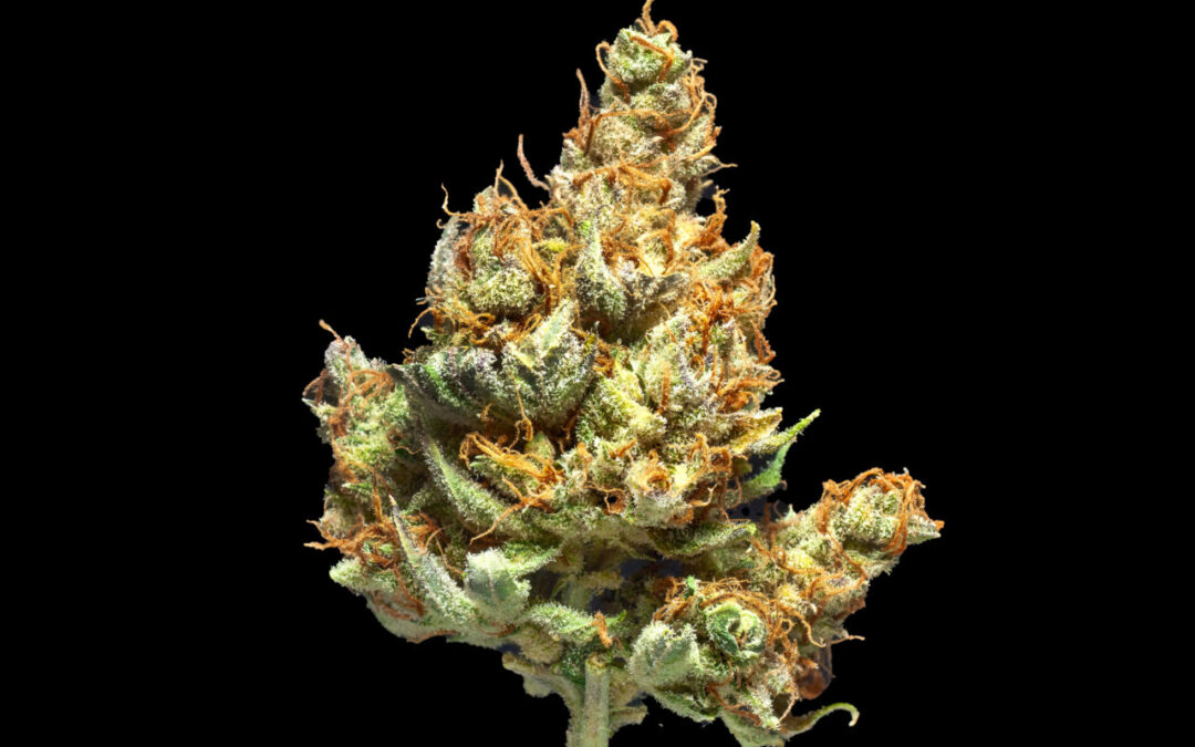 Proposed Tennessee Rules Seek To Close Hemp THCA Loophole