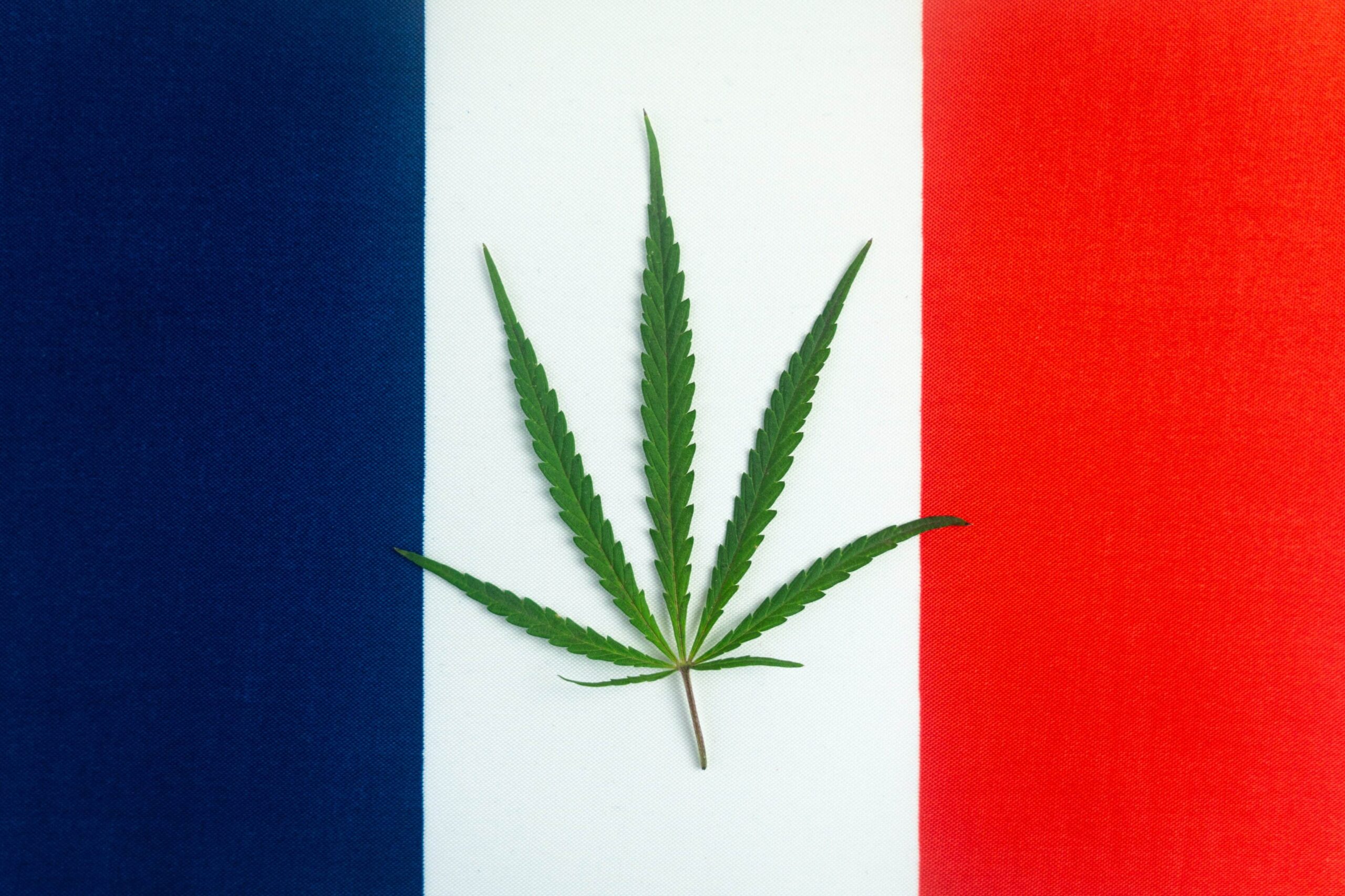 Cannabis Flower Won’t Be Included in French Medical Cannabis Program