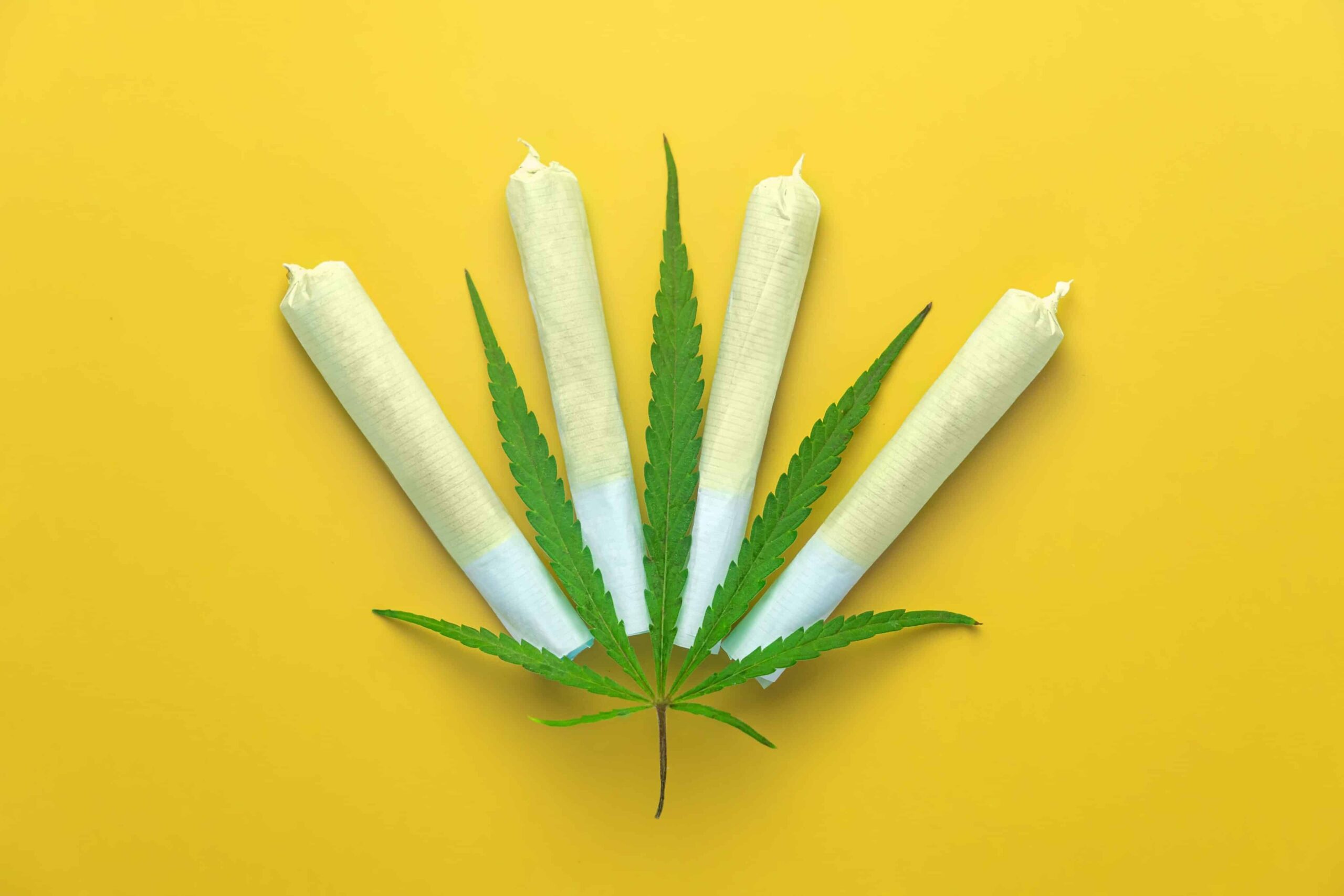 2024 U.S. Cannabis Sales Projected To Exceed $31 Billion