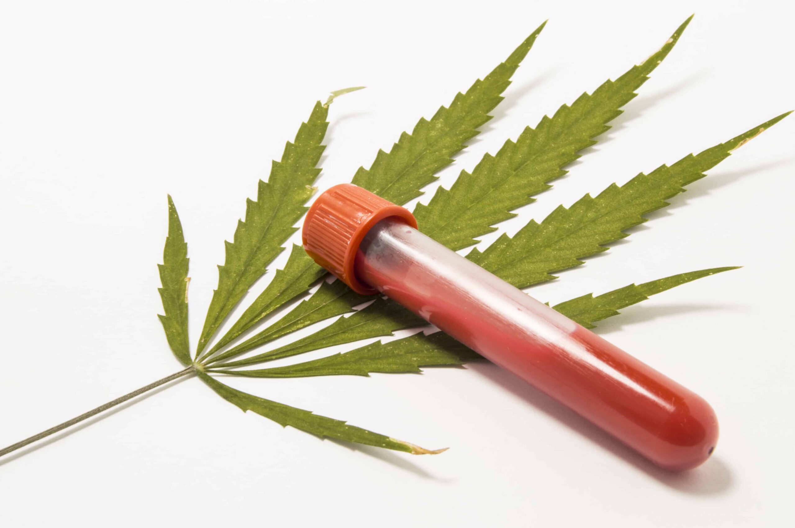 Virginia Department of Forensic Science Releases Report on THC Blood Detection
