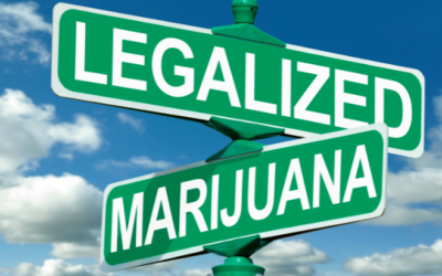 NORML Op-Ed: State-level Marijuana Legalization Has Been A Stunning Success