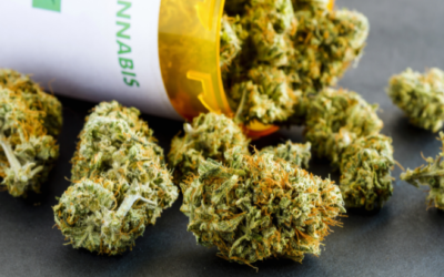 DEA Accepts Health Agency’s Recommendation to Reclassify Cannabis