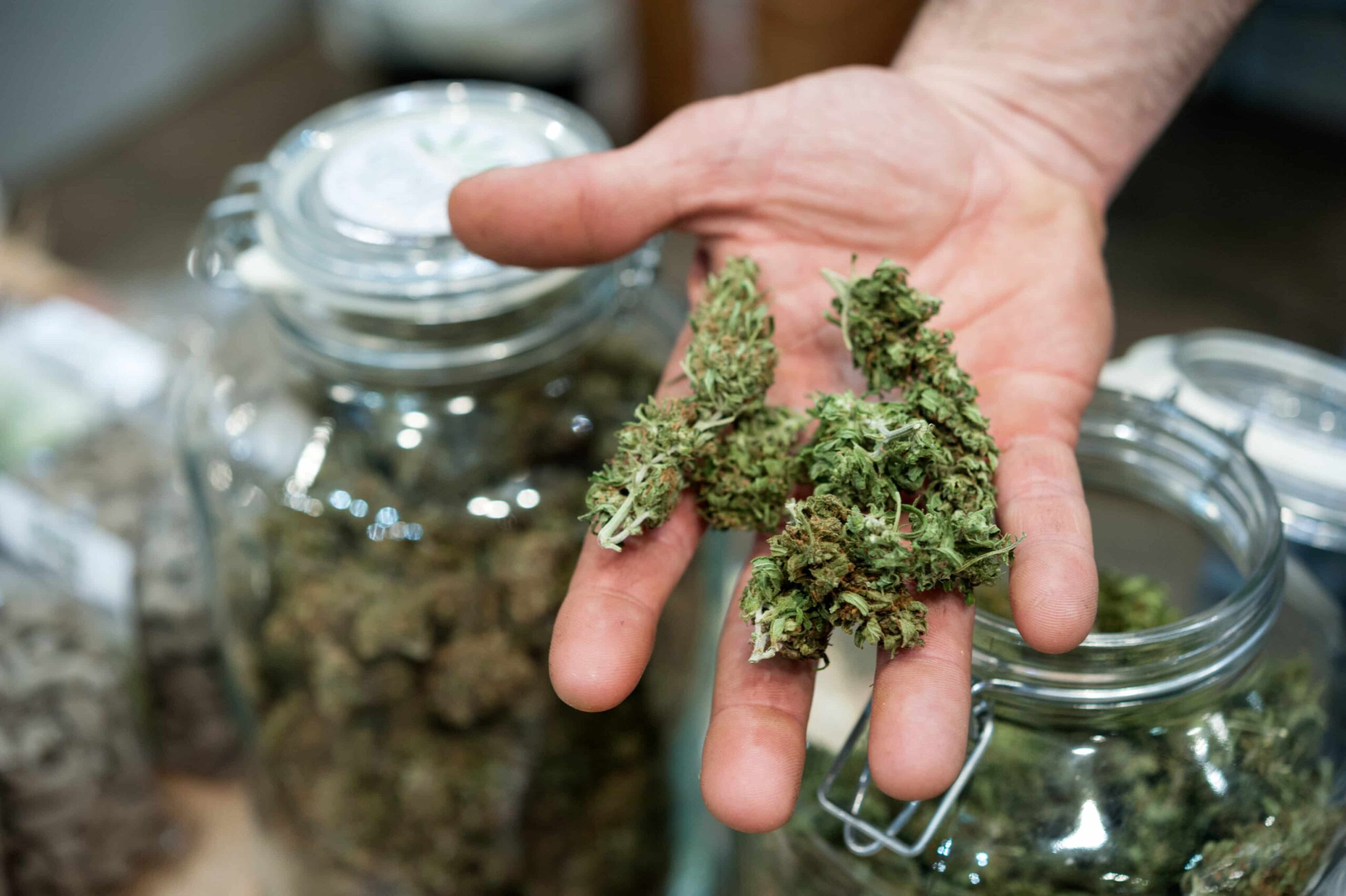 Customs and Border Protection Targeting Licensed New Mexico Weed Businesses