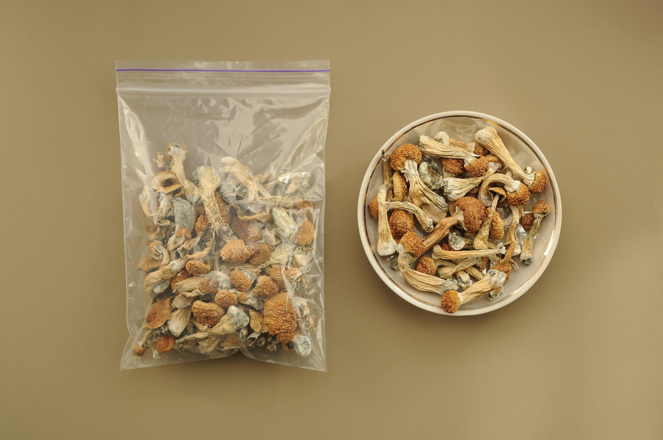 Missouri Would Allocate $10 Million from Opioid Settlement to Psilocybin Research in New Budget Bill