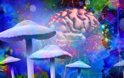 Vermont Senate Passes Legislation To Establish Psychedelic Working Group