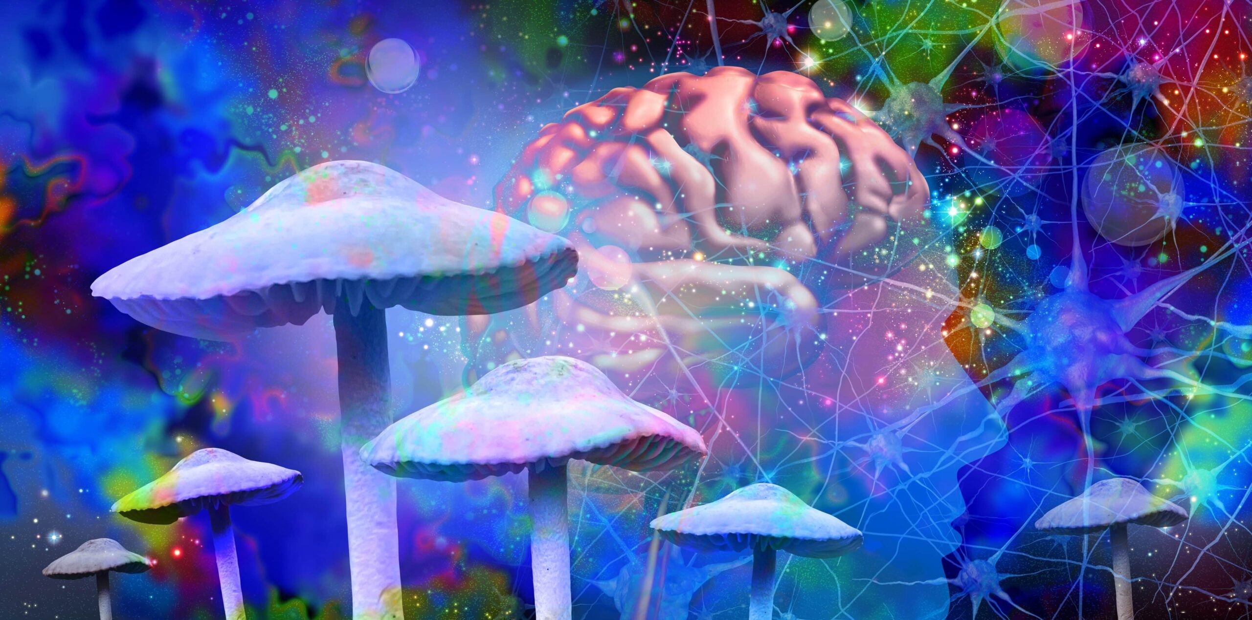Vermont Senate Passes Legislation To Establish Psychedelic Working Group