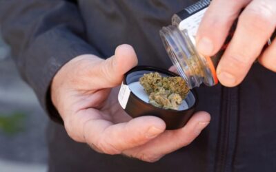 Biden Makes Historic Marijuana Rescheduling Announcement, Applauding ‘Monumental’ Move To Reverse ‘Longstanding Inequities’