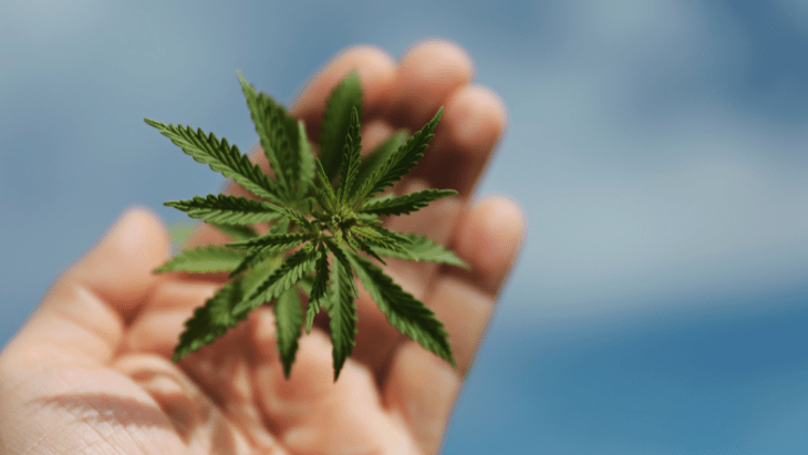 Maryland: Governor to Issue Mass Pardons For Those With Misdemeanor Marijuana Convictions