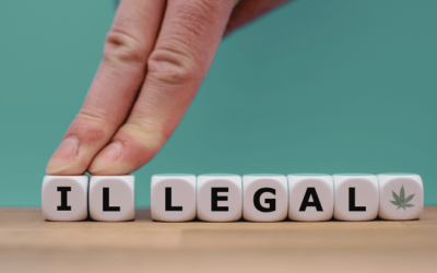 I’m Interning at NORML To Learn How To Change the Legal System