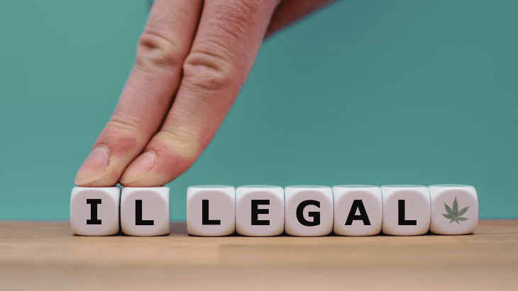 I’m Interning at NORML To Learn How To Change the Legal System