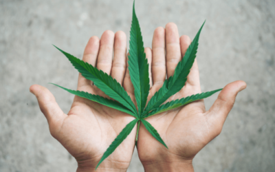 I’m Interning With NORML To Help End the Stigma Against Cannabis