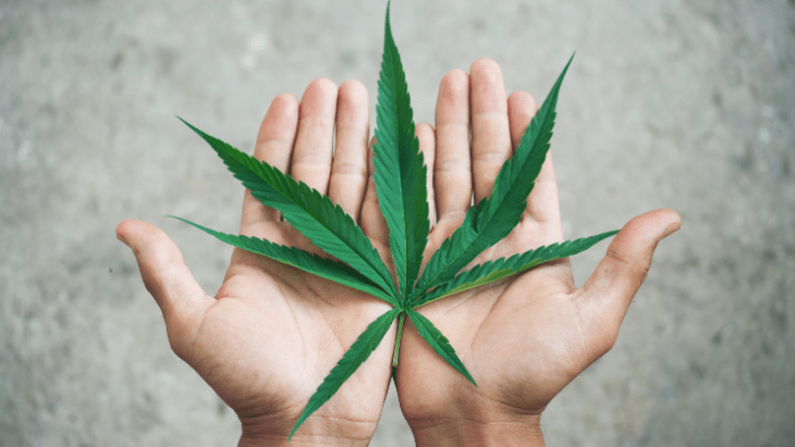 I’m Interning With NORML To Help End the Stigma Against Cannabis