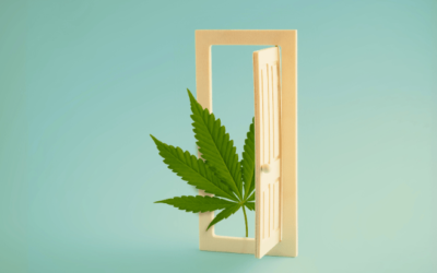 Interning with NORML: A Door to a Lifetime of Advocacy