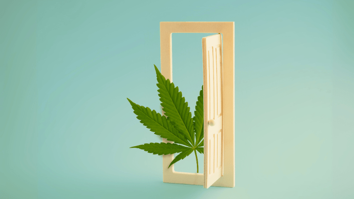 Interning with NORML: A Door to a Lifetime of Advocacy