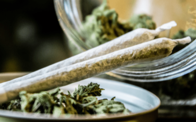 West Virginia: Charleston Adopts Citizens’ Initiated Measure Depenalizing Marijuana Possession