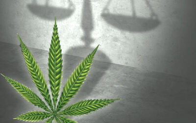 Federal Appeals Court Once Again Rejects Blanket Gun Ban for Cannabis Consumers