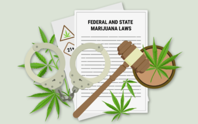 Reflecting on My Legal Internship With NORML