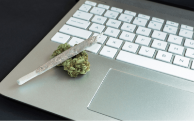 Survey: Adults Seeking Marijuana-Related Advice Seldom Refer to Health Care Providers or Government Agencies