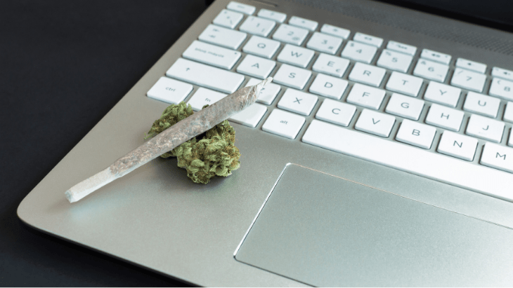 Survey: Adults Seeking Marijuana-Related Advice Seldom Refer to Health Care Providers or Government Agencies