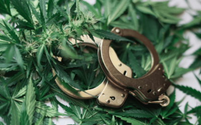 FBI: Marijuana-Related Arrests Comprised Over 40 Percent of All Drug Arrests in More Than a Dozen States in 2023