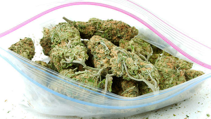 10-Year Analysis: Fentanyl Seldom Identified in Illicit Cannabis Samples