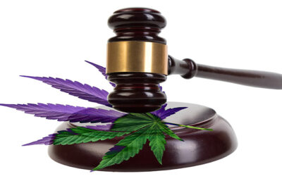 Arkansas: Supreme Court Rules Against Medical Marijuana Ballot Measure