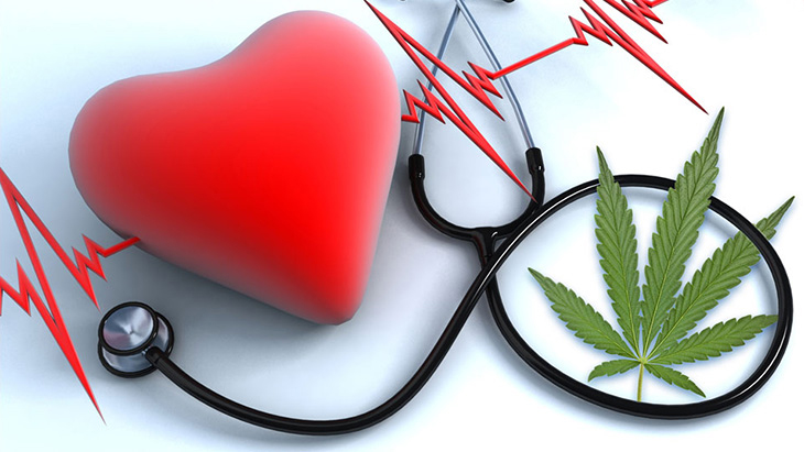 Analysis: Lifetime Cannabis Use Not Associated with Elevated Risk of Hypertension